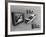 An Ape Participating in a Study of Ape Addiction to Tv-Yale Joel-Framed Photographic Print