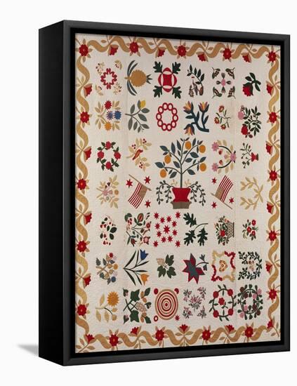 An Appliqued and Pieced Album Quilt, Maryland, Mid 19th Century-null-Framed Premier Image Canvas