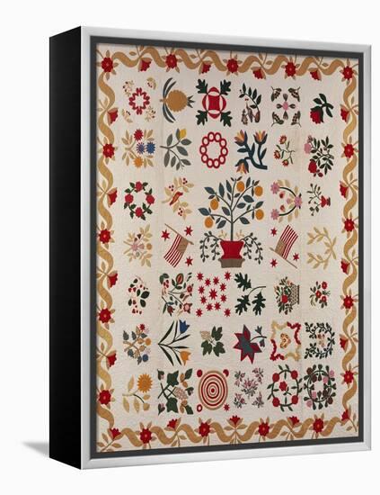 An Appliqued and Pieced Album Quilt, Maryland, Mid 19th Century-null-Framed Premier Image Canvas