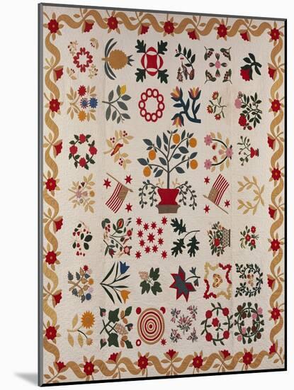 An Appliqued and Pieced Album Quilt, Maryland, Mid 19th Century-null-Mounted Giclee Print