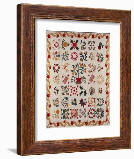 An Appliqued and Pieced Album Quilt, Maryland, Mid 19th Century--Framed Giclee Print