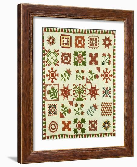 An Appliqued Cotton Album Quilt, circa 1852-Francina Stout Van Dyke-Framed Giclee Print