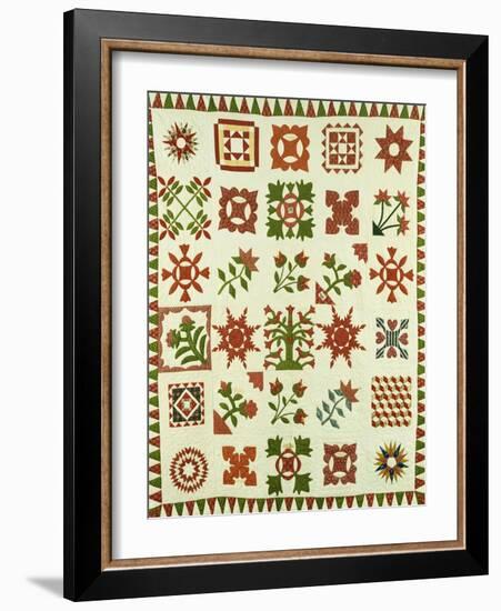 An Appliqued Cotton Album Quilt, circa 1852-Francina Stout Van Dyke-Framed Giclee Print