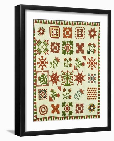 An Appliqued Cotton Album Quilt, circa 1852-Francina Stout Van Dyke-Framed Giclee Print