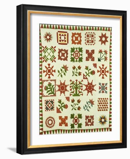 An Appliqued Cotton Album Quilt, circa 1852-Francina Stout Van Dyke-Framed Giclee Print