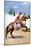 An Arab Dancing Horse, Udaipur, India, 1922-Herbert Ponting-Mounted Giclee Print