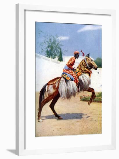 An Arab Dancing Horse, Udaipur, India, 1922-Herbert Ponting-Framed Giclee Print