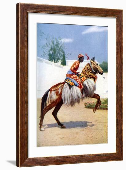 An Arab Dancing Horse, Udaipur, India, 1922-Herbert Ponting-Framed Giclee Print