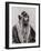 An Arab Sheikh, Iraq, 1925-A Kerim-Framed Giclee Print