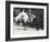 An Arabian Camel with Keeper Being Ridden by Two Children-Frederick William Bond-Framed Photographic Print