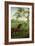 An Arabian Stallion Beneath a Tree, C.1761-63-George Stubbs-Framed Giclee Print