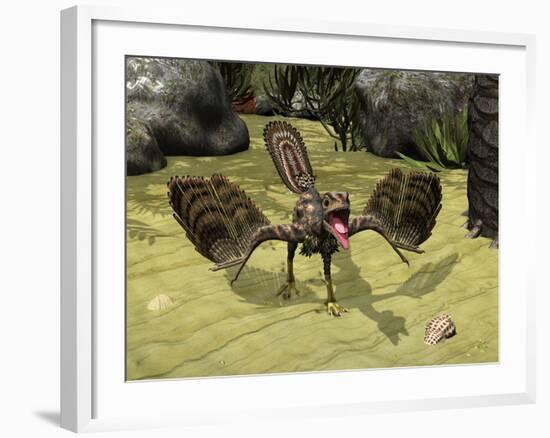 An Archaeopteryx Depicted Near the Shore of the Tethys Sea-Stocktrek Images-Framed Photographic Print