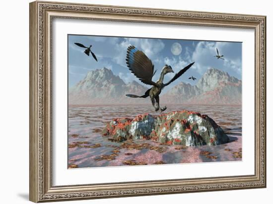 An Archaeopteryx Landing on a Rock During the Jurassic Period-Stocktrek Images-Framed Art Print