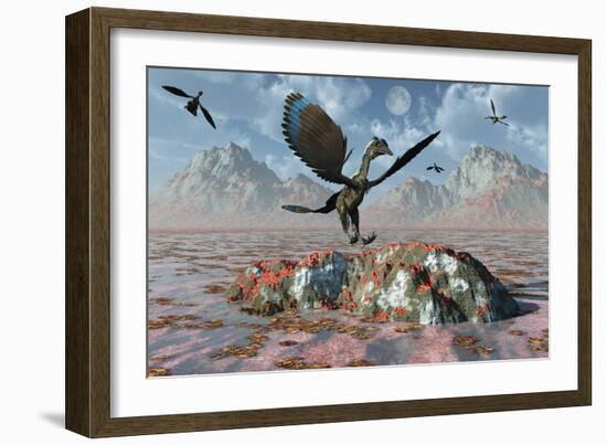 An Archaeopteryx Landing on a Rock During the Jurassic Period-Stocktrek Images-Framed Art Print