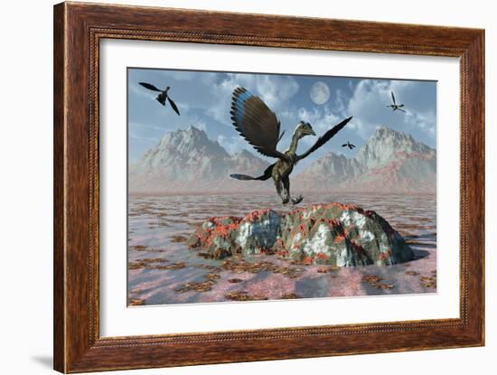 An Archaeopteryx Landing on a Rock During the Jurassic Period-Stocktrek Images-Framed Art Print