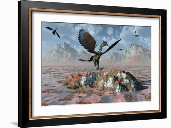 An Archaeopteryx Landing on a Rock During the Jurassic Period-Stocktrek Images-Framed Art Print