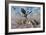 An Archaeopteryx Landing on a Rock During the Jurassic Period-Stocktrek Images-Framed Art Print