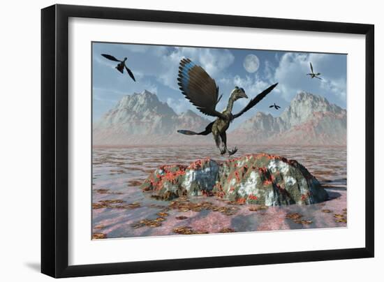 An Archaeopteryx Landing on a Rock During the Jurassic Period-Stocktrek Images-Framed Art Print