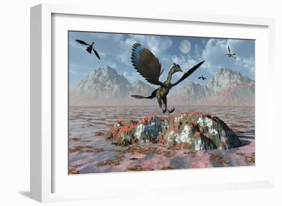 An Archaeopteryx Landing on a Rock During the Jurassic Period-Stocktrek Images-Framed Art Print