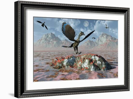 An Archaeopteryx Landing on a Rock During the Jurassic Period-Stocktrek Images-Framed Art Print