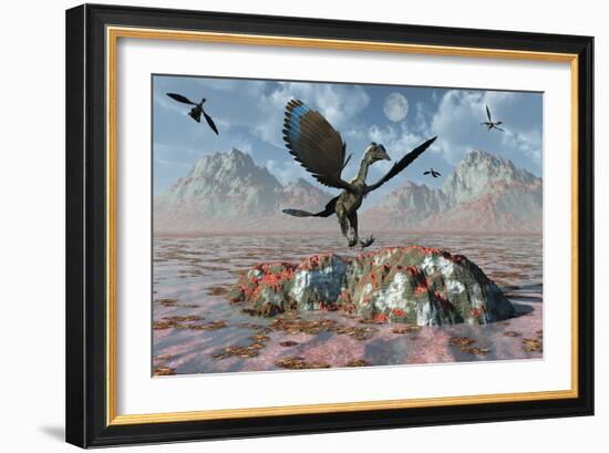 An Archaeopteryx Landing on a Rock During the Jurassic Period-Stocktrek Images-Framed Art Print