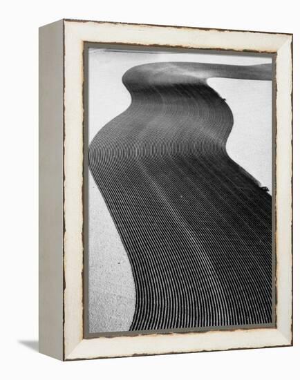 An Ariel Picture from the Dust Bowl,With Deep Furrows Made by Farmers to Counteract Wind-Margaret Bourke-White-Framed Premier Image Canvas