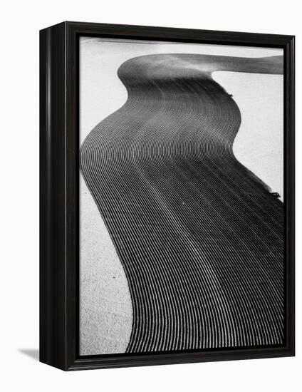 An Ariel Picture from the Dust Bowl,With Deep Furrows Made by Farmers to Counteract Wind-Margaret Bourke-White-Framed Premier Image Canvas