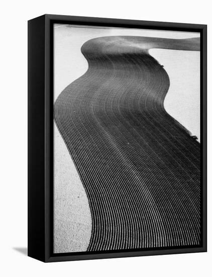 An Ariel Picture from the Dust Bowl,With Deep Furrows Made by Farmers to Counteract Wind-Margaret Bourke-White-Framed Premier Image Canvas