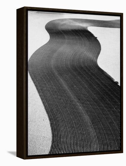 An Ariel Picture from the Dust Bowl,With Deep Furrows Made by Farmers to Counteract Wind-Margaret Bourke-White-Framed Premier Image Canvas