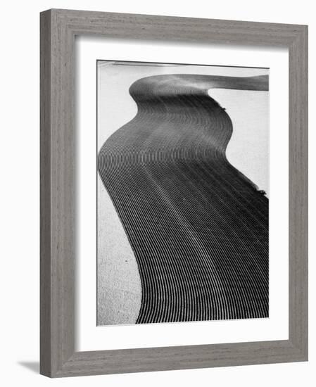 An Ariel Picture from the Dust Bowl,With Deep Furrows Made by Farmers to Counteract Wind-Margaret Bourke-White-Framed Premium Photographic Print