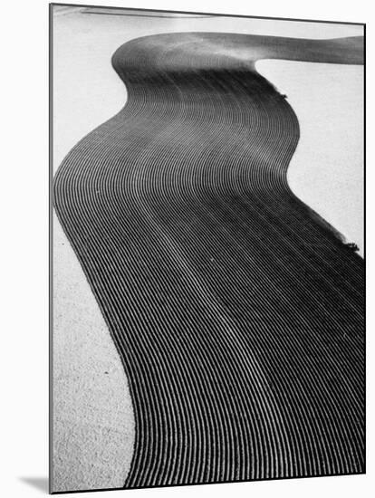 An Ariel Picture from the Dust Bowl,With Deep Furrows Made by Farmers to Counteract Wind-Margaret Bourke-White-Mounted Premium Photographic Print