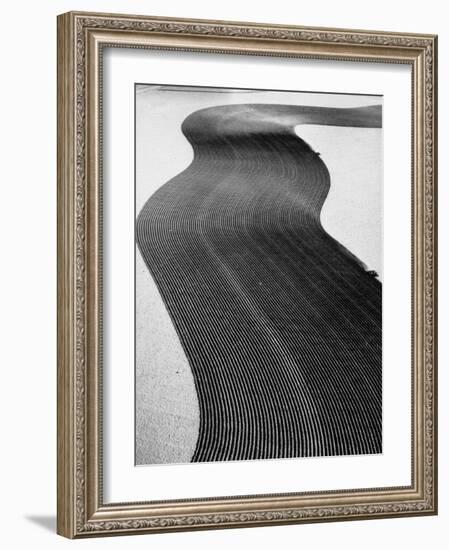 An Ariel Picture from the Dust Bowl,With Deep Furrows Made by Farmers to Counteract Wind-Margaret Bourke-White-Framed Photographic Print