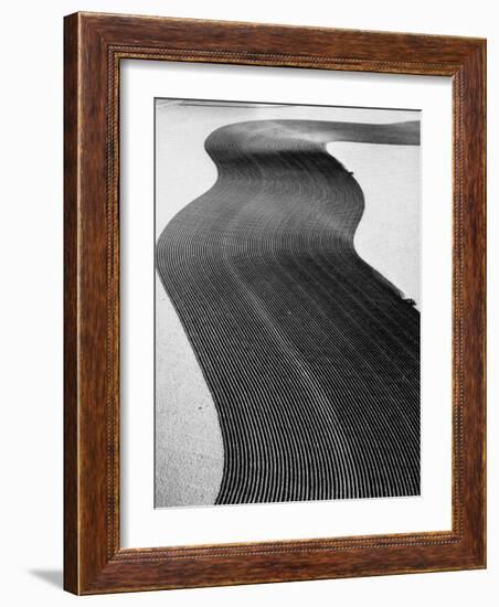 An Ariel Picture from the Dust Bowl,With Deep Furrows Made by Farmers to Counteract Wind-Margaret Bourke-White-Framed Photographic Print
