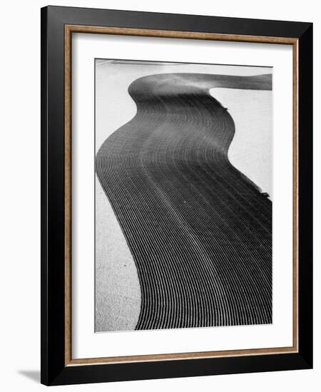 An Ariel Picture from the Dust Bowl,With Deep Furrows Made by Farmers to Counteract Wind-Margaret Bourke-White-Framed Photographic Print