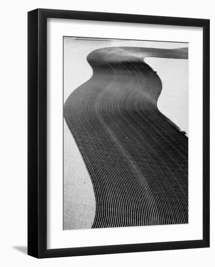 An Ariel Picture from the Dust Bowl,With Deep Furrows Made by Farmers to Counteract Wind-Margaret Bourke-White-Framed Photographic Print