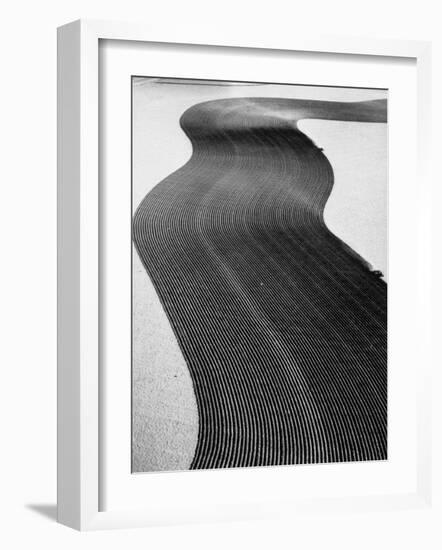 An Ariel Picture from the Dust Bowl,With Deep Furrows Made by Farmers to Counteract Wind-Margaret Bourke-White-Framed Photographic Print