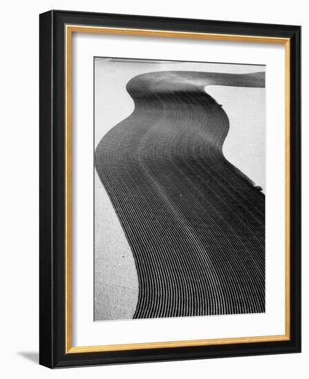 An Ariel Picture from the Dust Bowl,With Deep Furrows Made by Farmers to Counteract Wind-Margaret Bourke-White-Framed Photographic Print