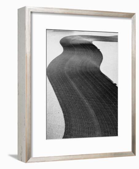 An Ariel Picture from the Dust Bowl,With Deep Furrows Made by Farmers to Counteract Wind-Margaret Bourke-White-Framed Photographic Print