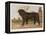 An Aristocratic Mastiff in the Grounds of a Stately Home-null-Framed Stretched Canvas