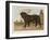 An Aristocratic Mastiff in the Grounds of a Stately Home-null-Framed Art Print