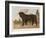 An Aristocratic Mastiff in the Grounds of a Stately Home-null-Framed Art Print