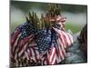 An Army Soldier's Backpack Overflows with Small American Flags-Stocktrek Images-Mounted Photographic Print