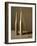 An Arrangement of Vases and Pasta-Patrice de Villiers-Framed Photographic Print