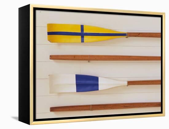 An Array of boat oars Mounted on a wall-null-Framed Premier Image Canvas