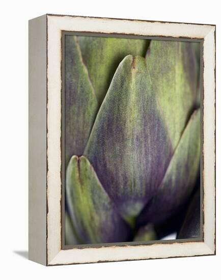 An Artichoke-Herbert Lehmann-Framed Premier Image Canvas