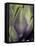 An Artichoke-Herbert Lehmann-Framed Premier Image Canvas