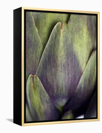 An Artichoke-Herbert Lehmann-Framed Premier Image Canvas