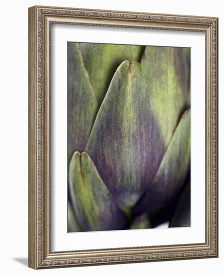 An Artichoke-Herbert Lehmann-Framed Photographic Print