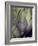 An Artichoke-Herbert Lehmann-Framed Photographic Print