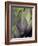 An Artichoke-Herbert Lehmann-Framed Photographic Print